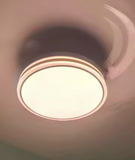 User picture 5